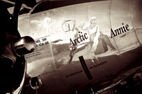 Arctic Annie