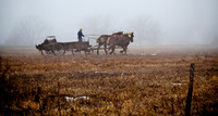 IMG_0468T