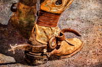 Rodeo Rider